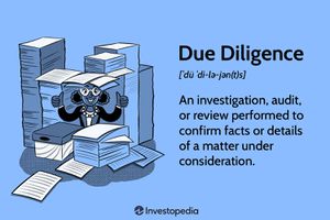 Due Diligence
