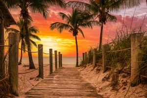 A wooden walkway leading to a beach with palm trees, viewed during sunrise or sunset
