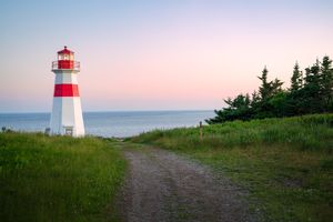 Lighthouse near a grassy path by the ocean and surrounded by trees
